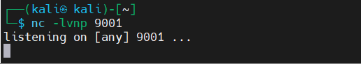image-20250208142610118