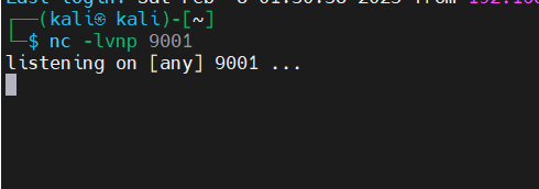 image-20250208190937499