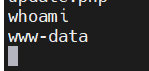 image-20250208191353780