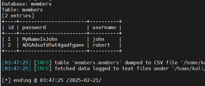 image-20250221164857841