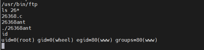 image-20250225100957022