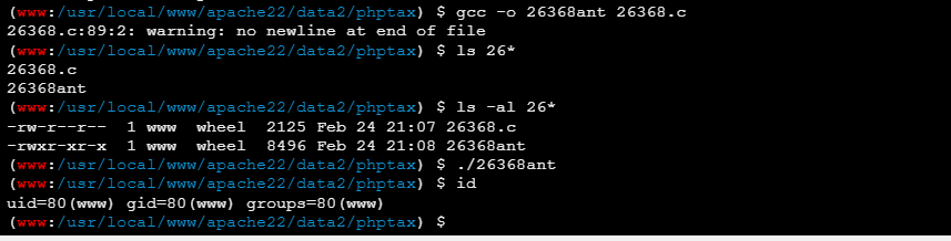 image-20250225101027822
