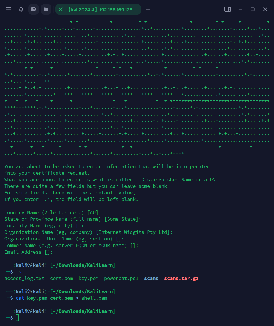 image-20250411222443774