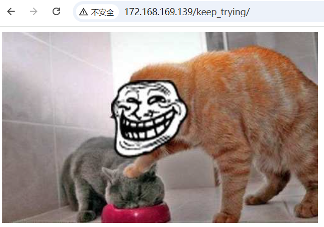 image-20250519214849054