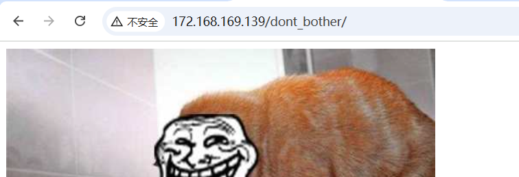 image-20250519215148809