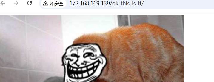 image-20250519215310469