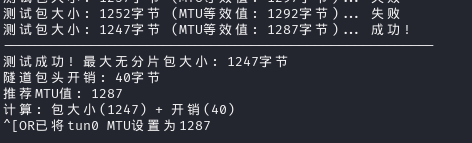 image-20250714130040762