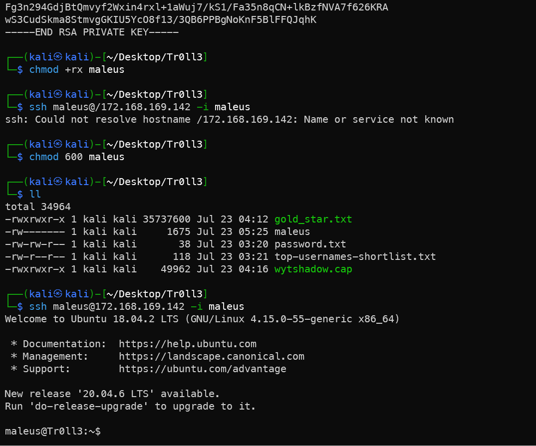image-20250723172847880